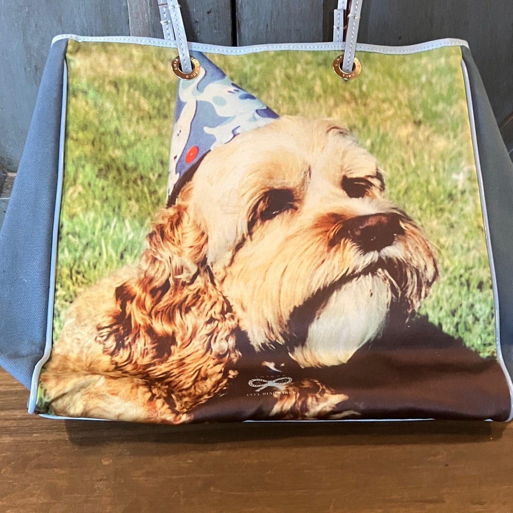 Anya Hindmarch Party Dog Tote - Picture 2 of 11